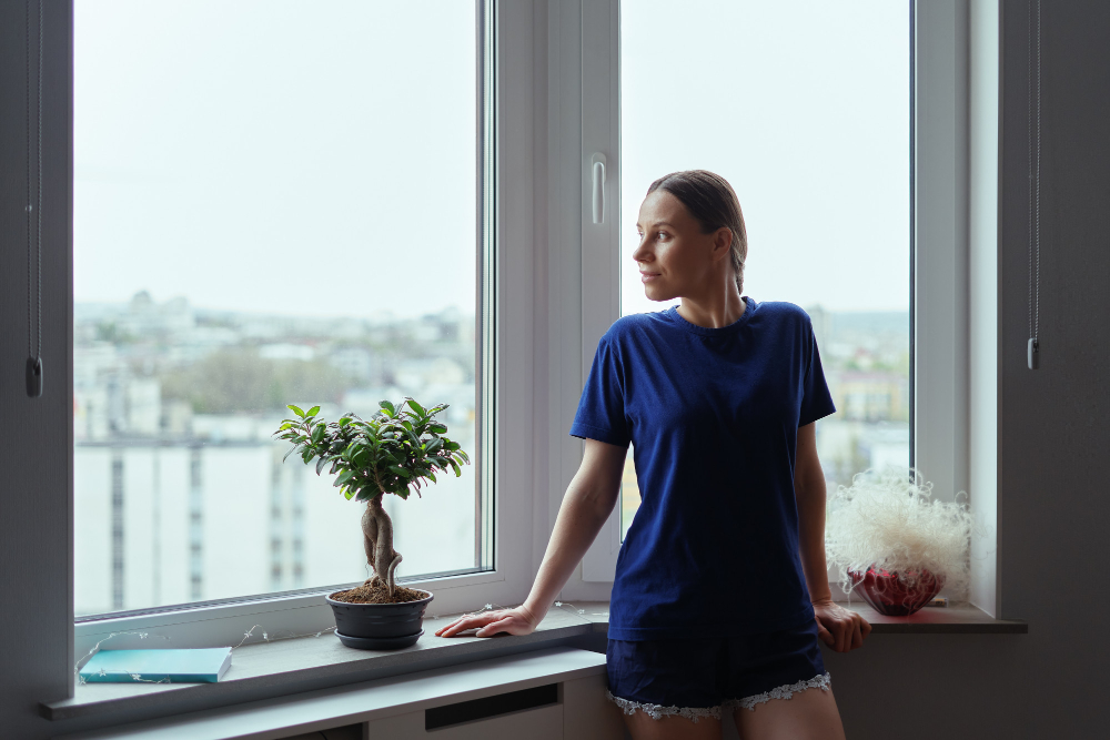 Newport Window Styles